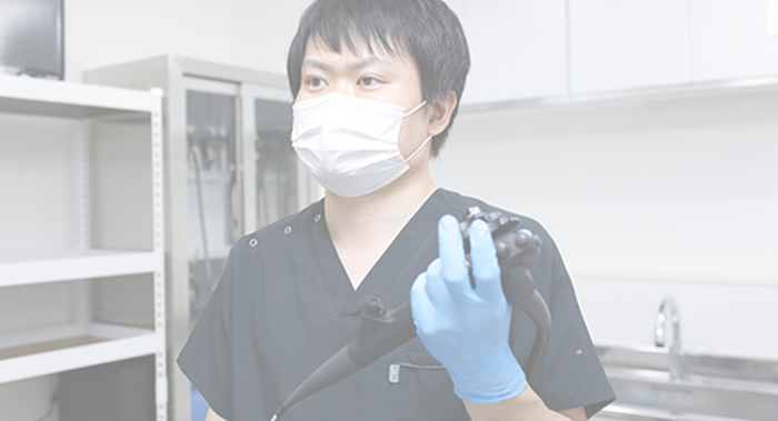 経鼻・経口から選べる胃カメラ検査