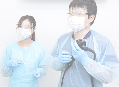 検査時に大腸ポリープ切除が可能